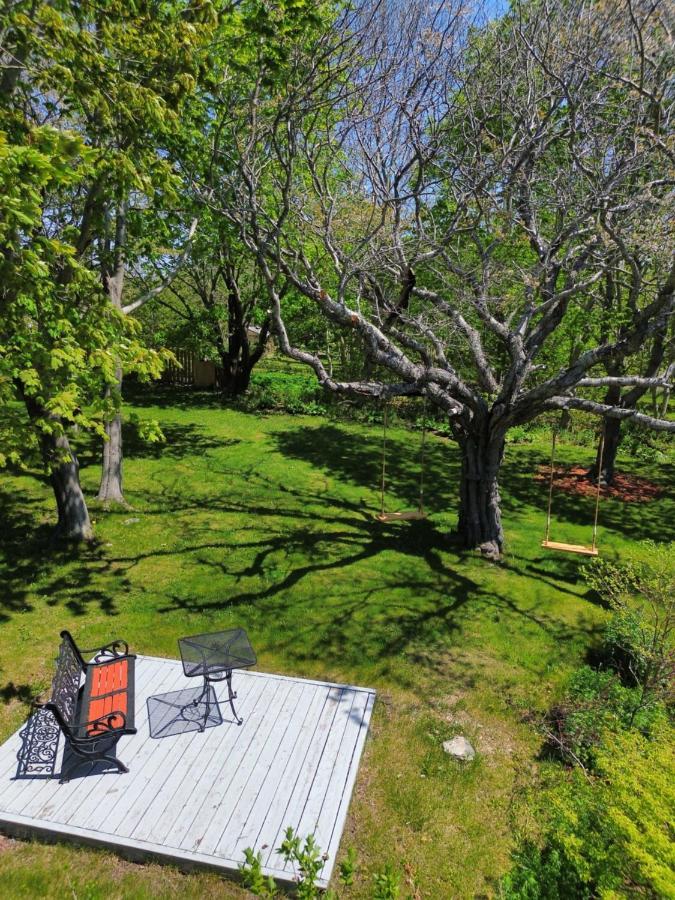Belle View Manor Inn Harbour Grace Εξωτερικό φωτογραφία